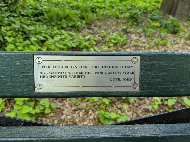 I saw this bench in Central Park