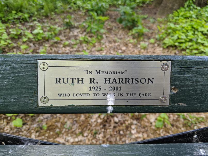 I saw this bench in Central Park