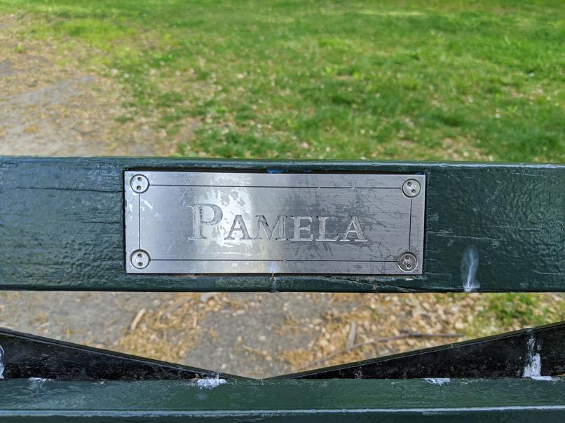 I saw this bench in Central Park