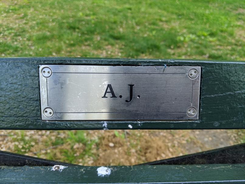 I saw this bench in Central Park