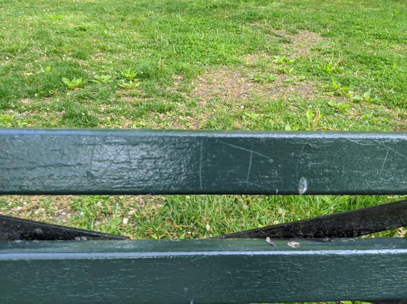 I saw this bench in Central Park