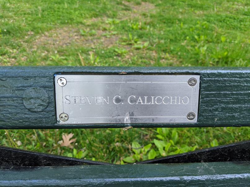 I saw this bench in Central Park