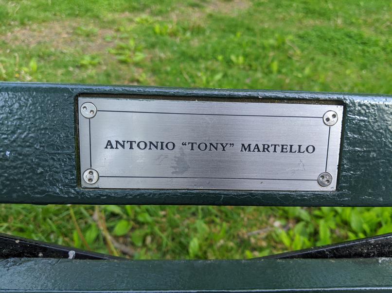 I saw this bench in Central Park