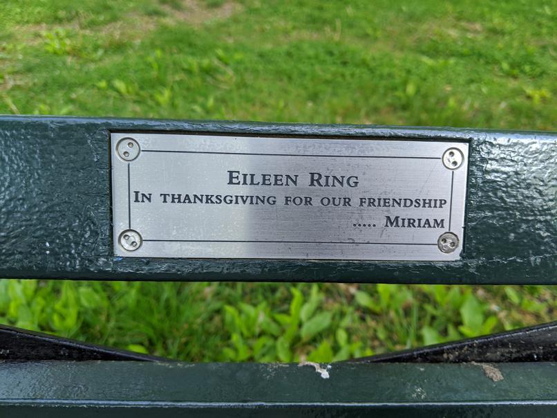 I saw this bench in Central Park