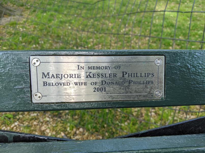 I saw this bench in Central Park