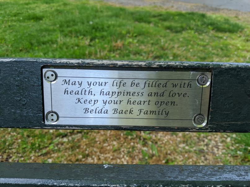 I saw this bench in Central Park