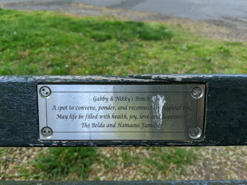 I saw this bench in Central Park