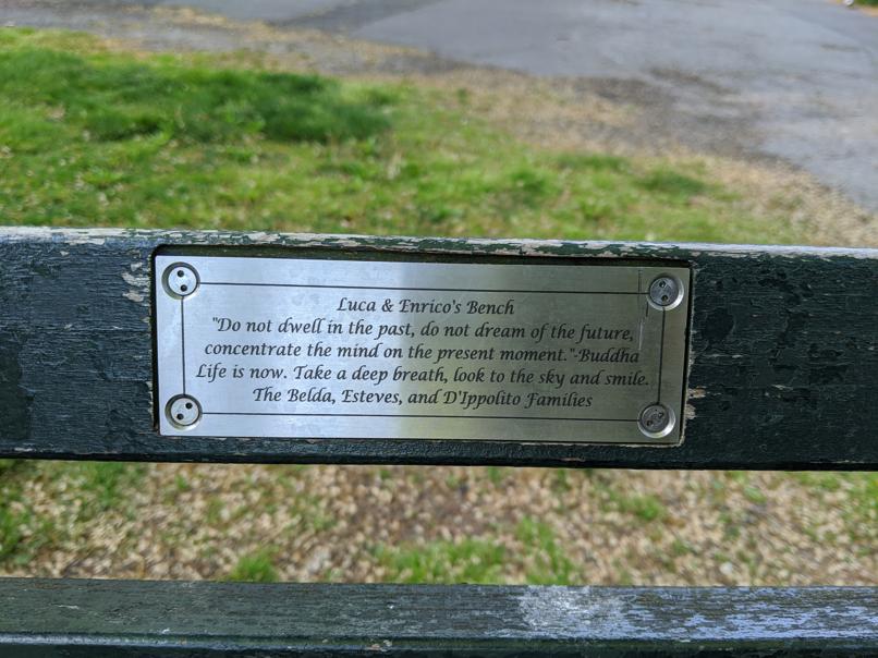 I saw this bench in Central Park