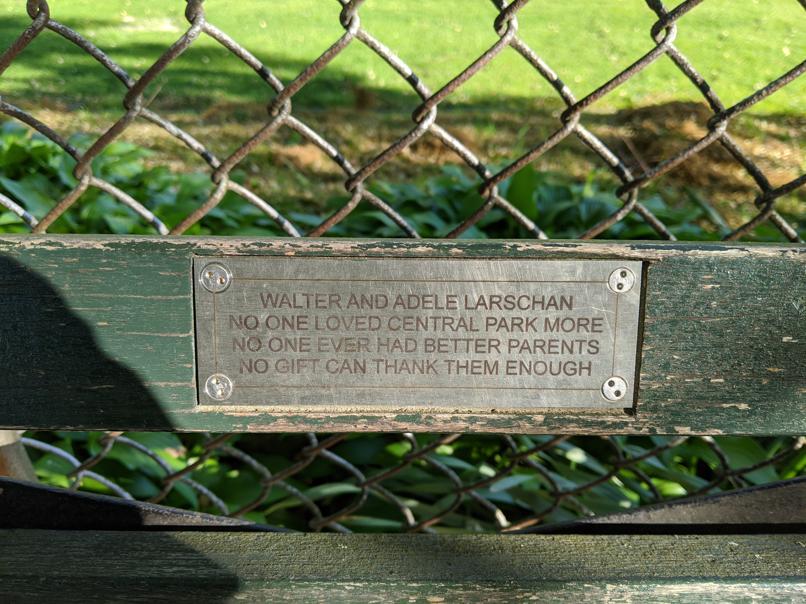 I saw this bench in Central Park