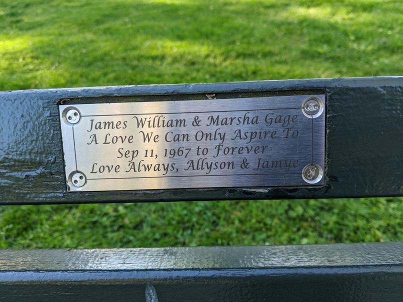 I saw this bench in Central Park