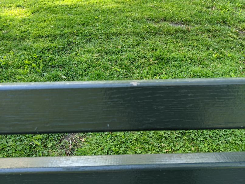 I saw this bench in Central Park