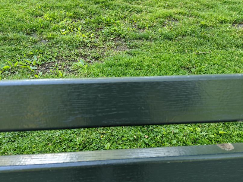 I saw this bench in Central Park