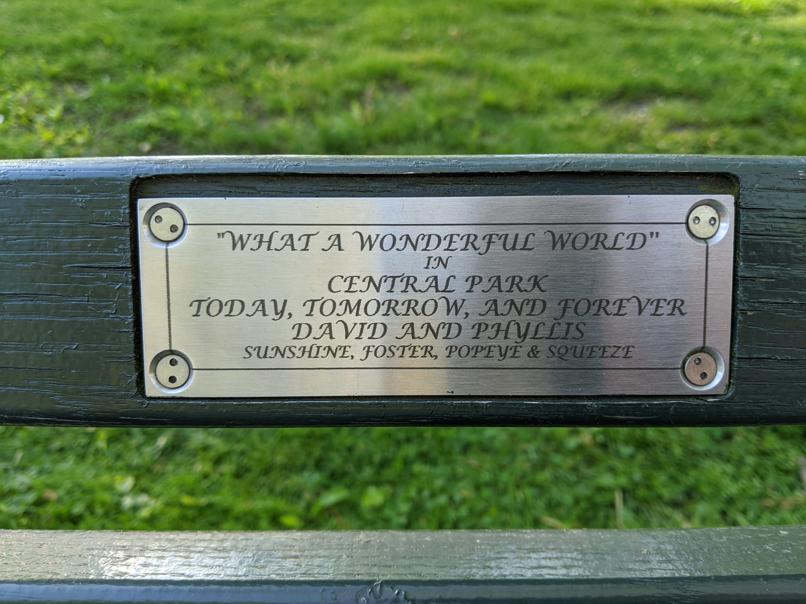 I saw this bench in Central Park