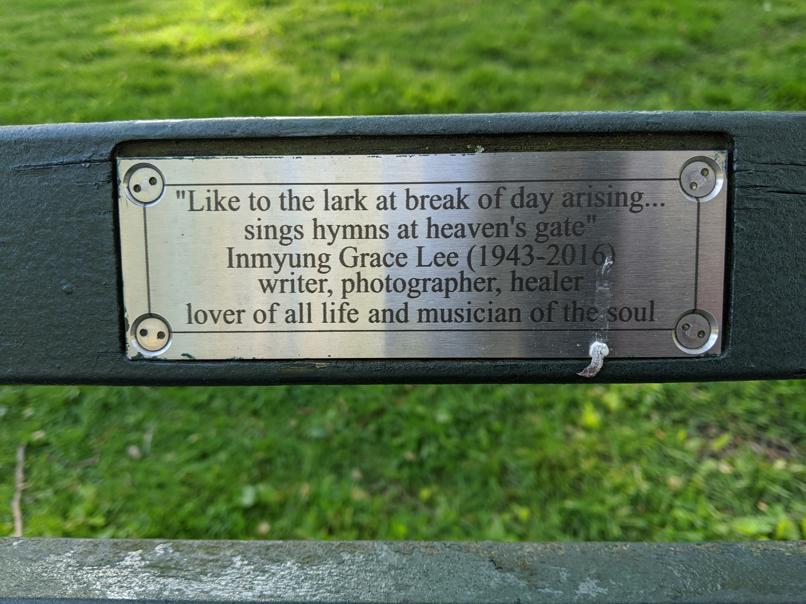 I saw this bench in Central Park