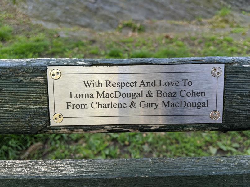 I saw this bench in Central Park