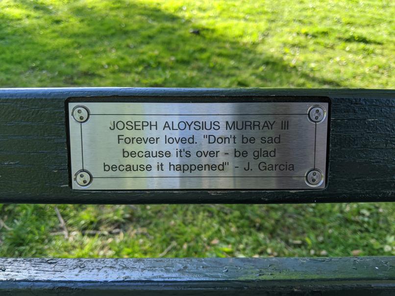 I saw this bench in Central Park