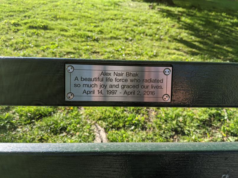 I saw this bench in Central Park