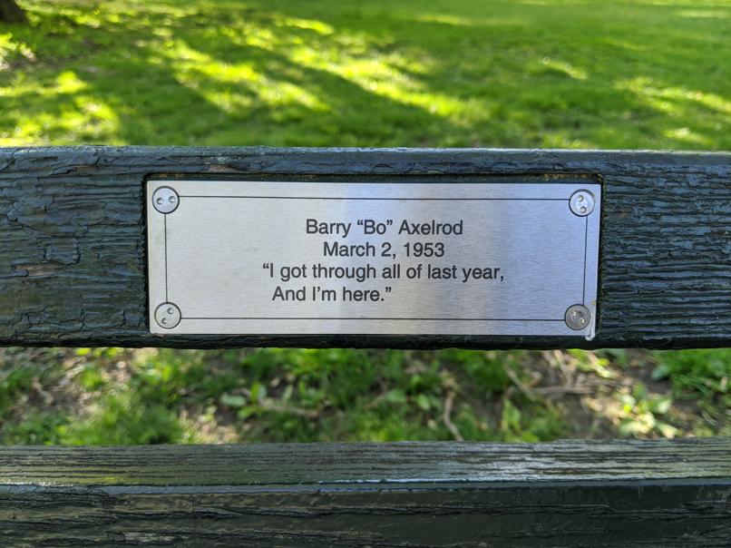 I saw this bench in Central Park