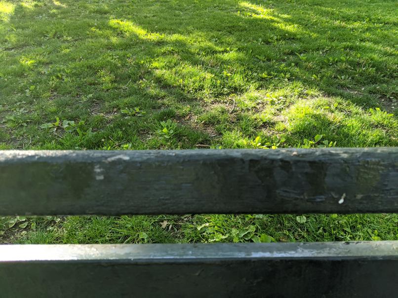 I saw this bench in Central Park