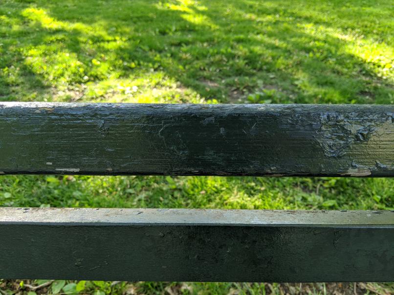 I saw this bench in Central Park