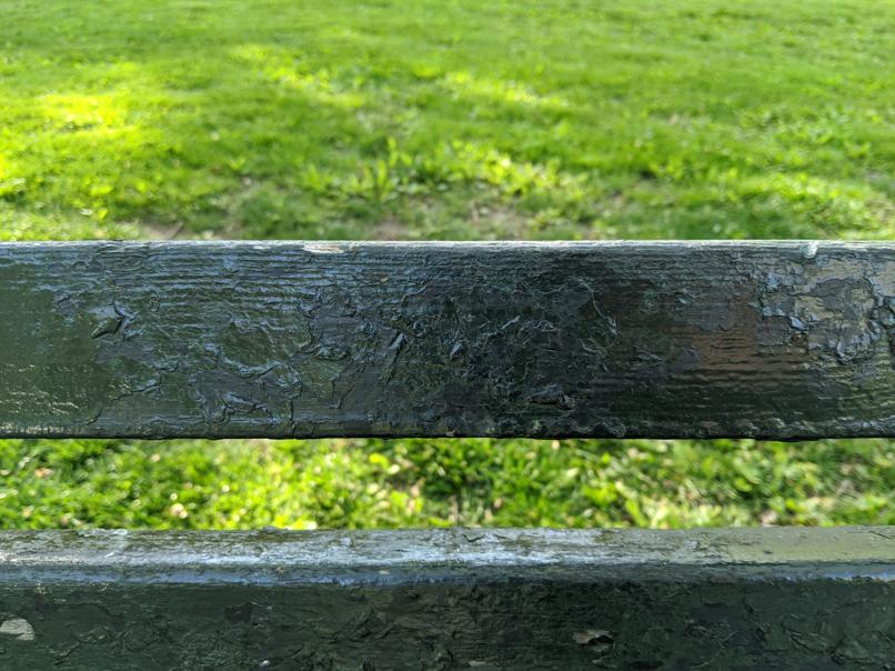 I saw this bench in Central Park