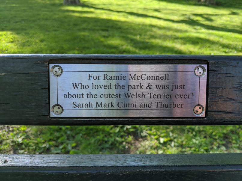 I saw this bench in Central Park