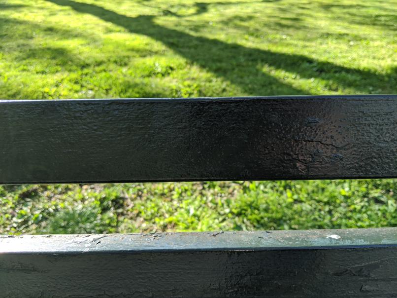 I saw this bench in Central Park