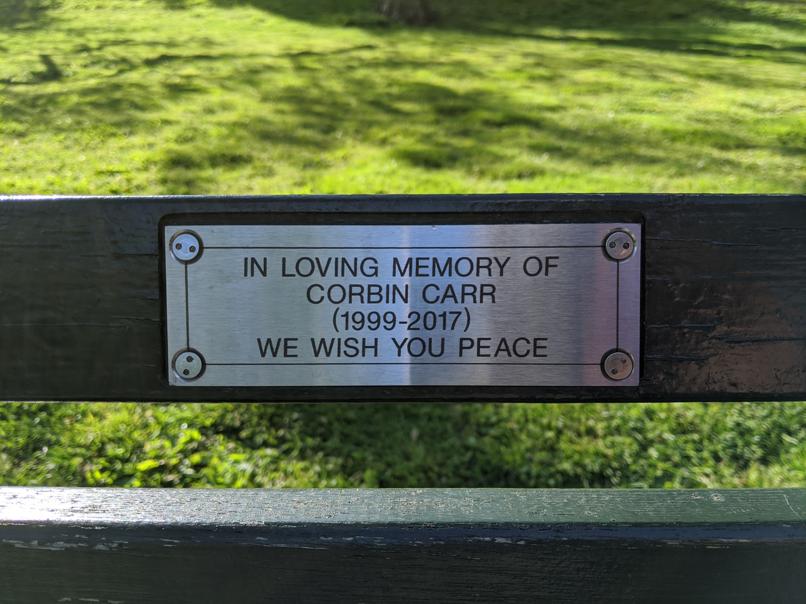 I saw this bench in Central Park