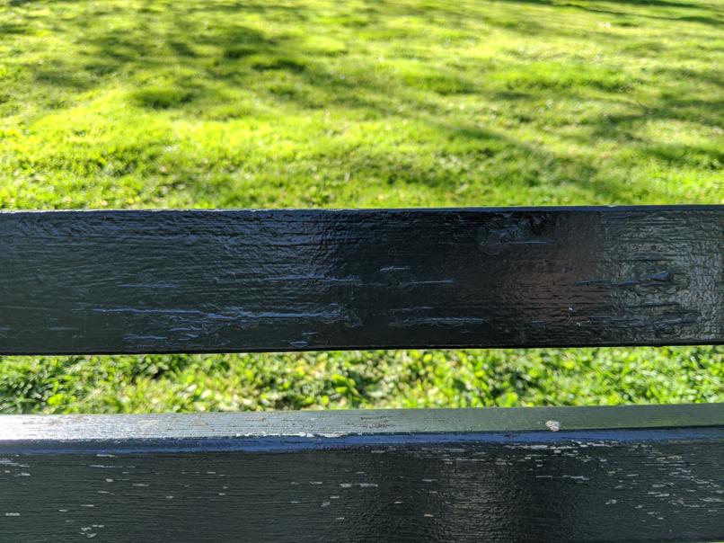 I saw this bench in Central Park