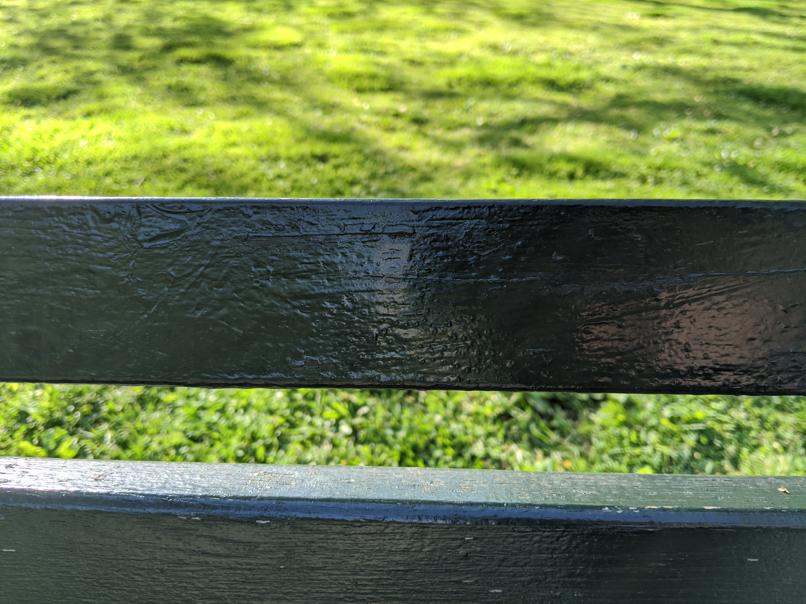 I saw this bench in Central Park