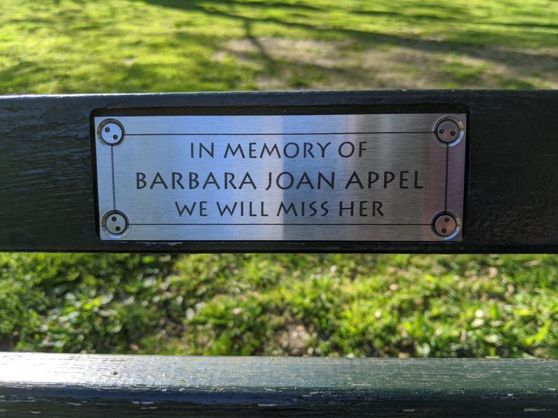 I saw this bench in Central Park