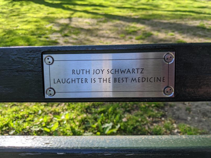 I saw this bench in Central Park