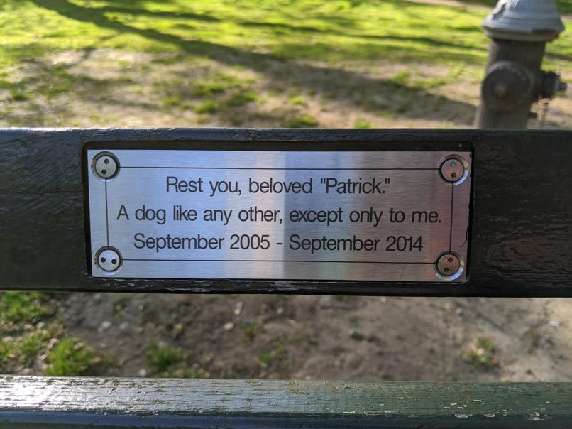 I saw this bench in Central Park