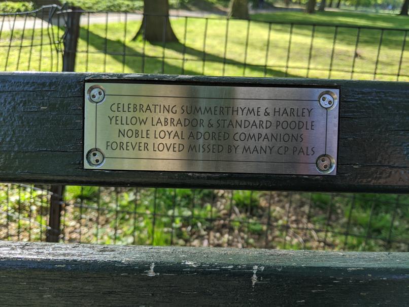 I saw this bench in Central Park