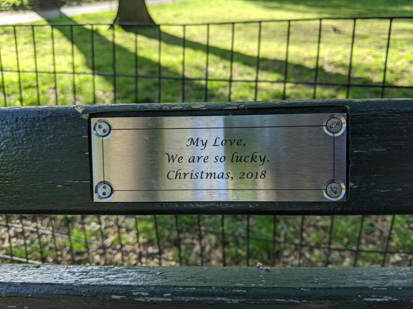 I saw this bench in Central Park