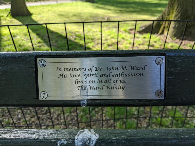 I saw this bench in Central Park