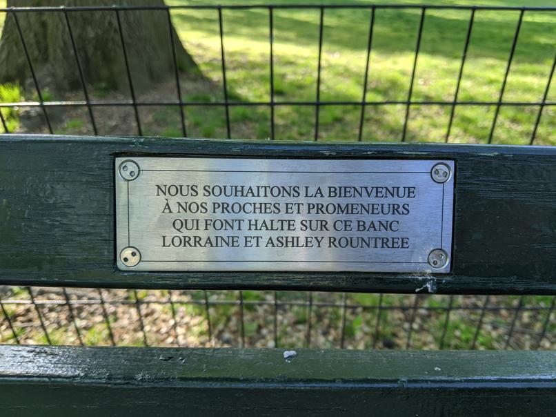 I saw this bench in Central Park