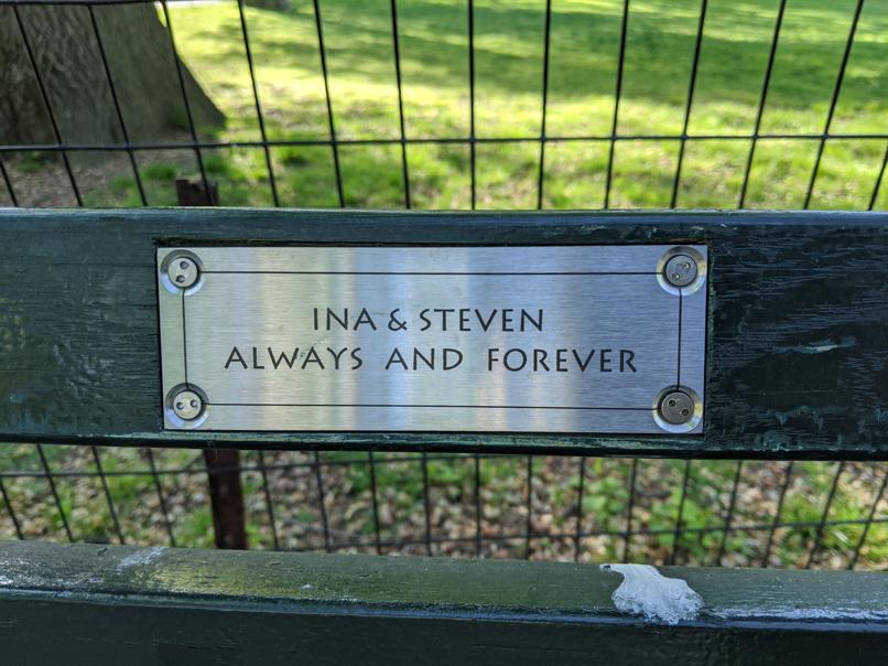 I saw this bench in Central Park