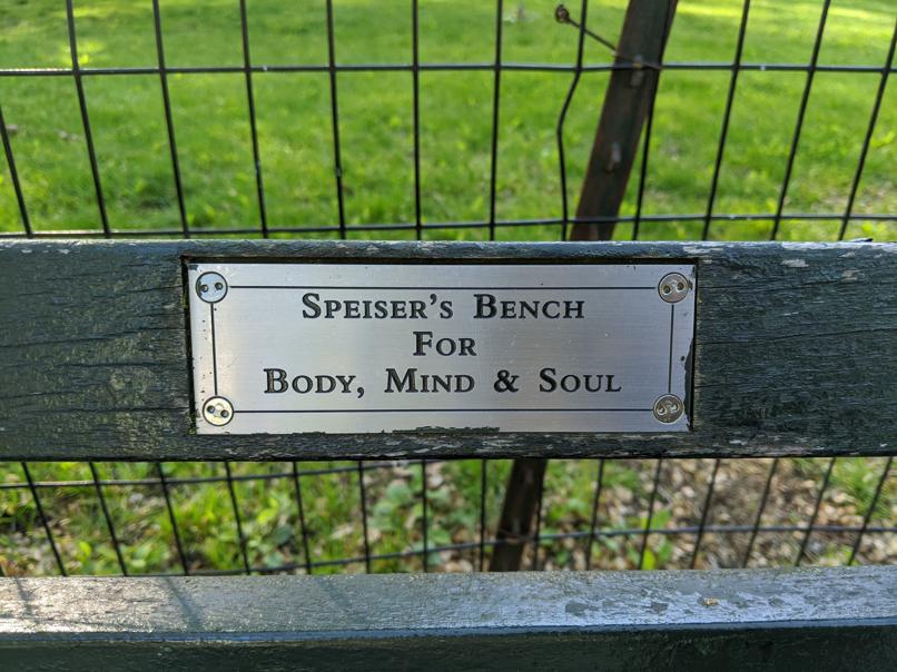 I saw this bench in Central Park