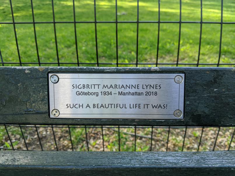 I saw this bench in Central Park