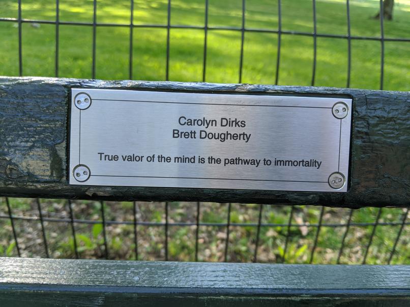 I saw this bench in Central Park