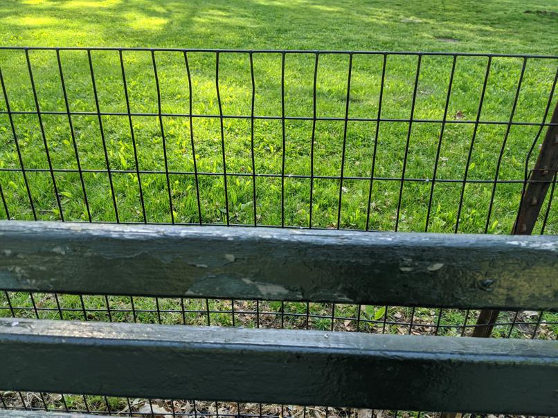 I saw this bench in Central Park