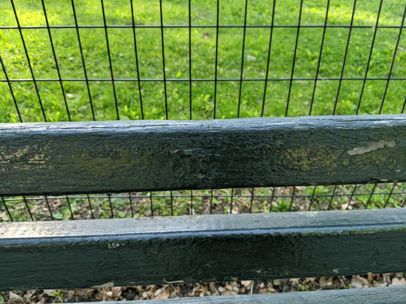 I saw this bench in Central Park