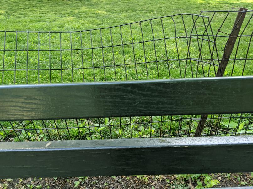 I saw this bench in Central Park