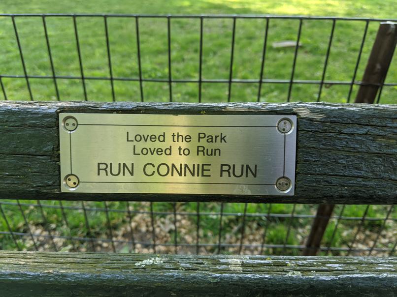 I saw this bench in Central Park