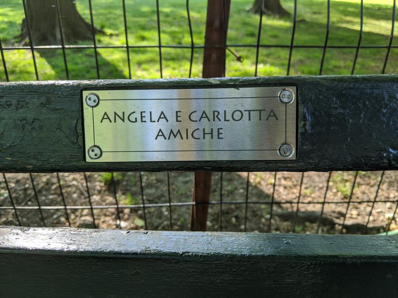 I saw this bench in Central Park