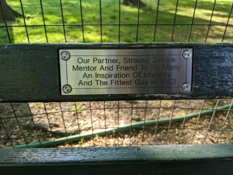 I saw this bench in Central Park