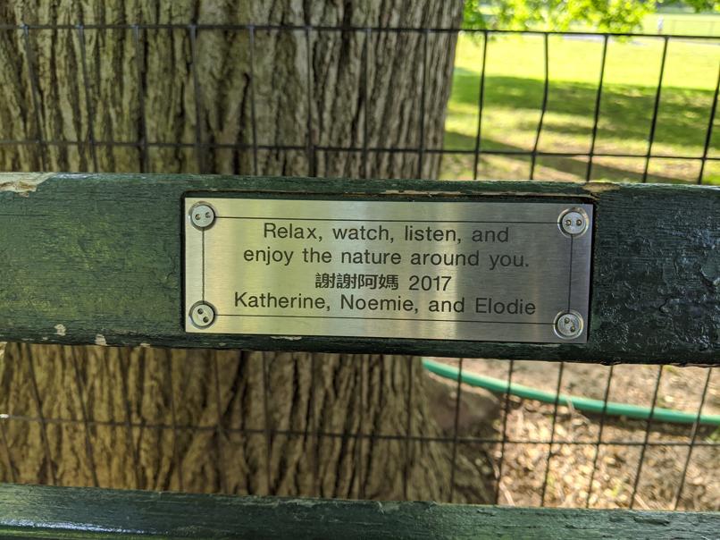 I saw this bench in Central Park