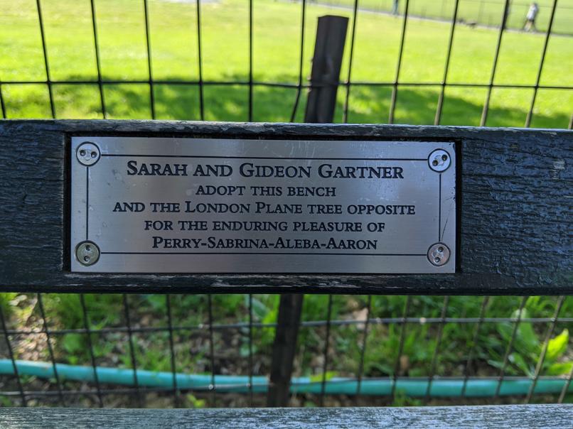 I saw this bench in Central Park