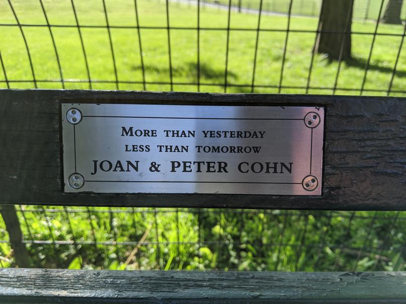 I saw this bench in Central Park